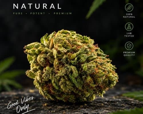 Explore Cannabis Flower