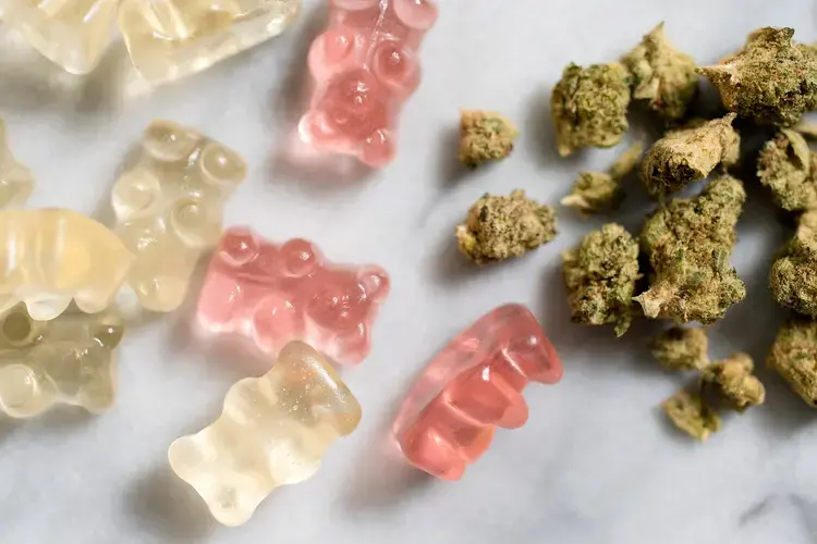 Explore Cannabis Edibles