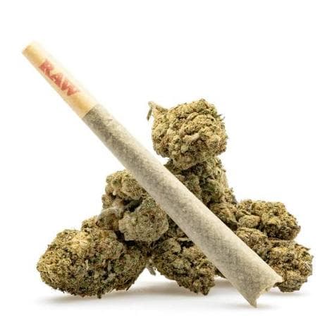 Pre-Roll Tips & Insights