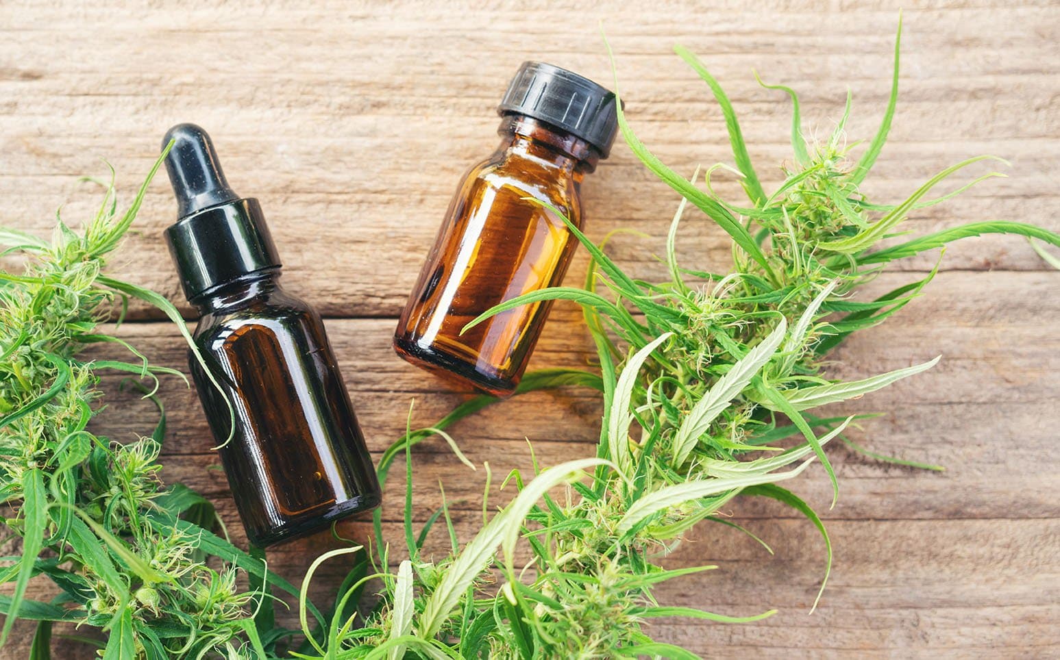 Explore cannabis tinctures