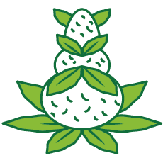 Cannabis Pre-Rolls for Sale - Puff Cannabis Dispensary in Utica, MI Cannabis Pre-Rolls for Sale - Puff Cannabis Dispensary in Utica, MI