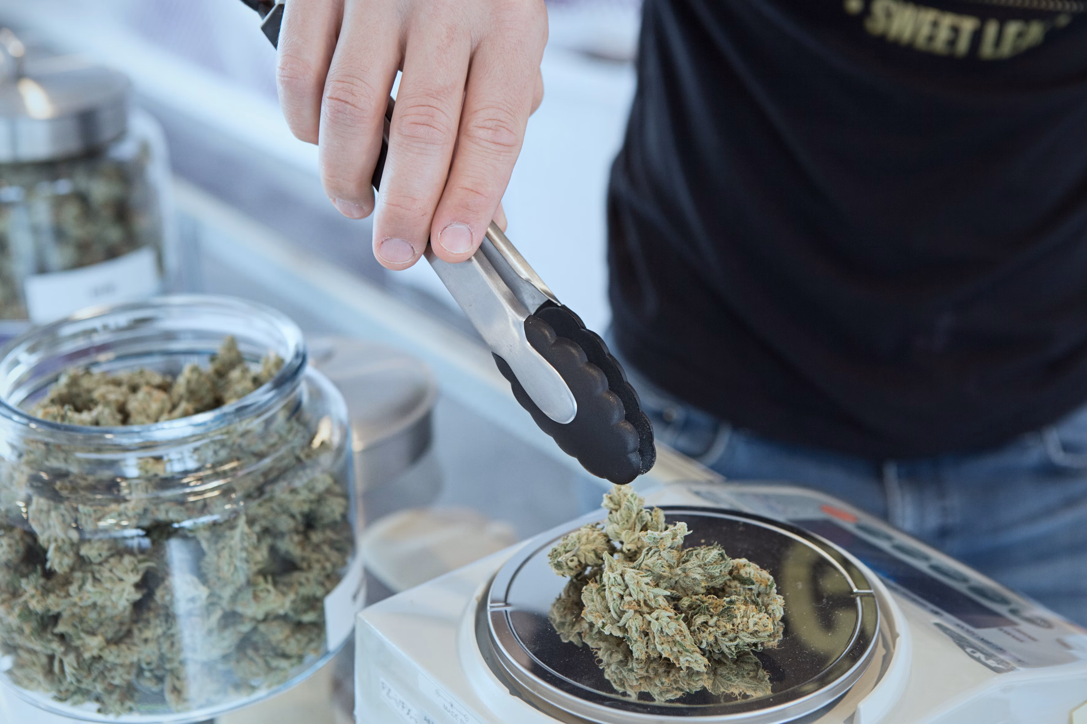 Cannabis Flowers of Puff Cannabis Cannabis Flowers of Puff Cannabis
